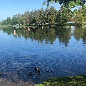 Meet your Posher, Tricia